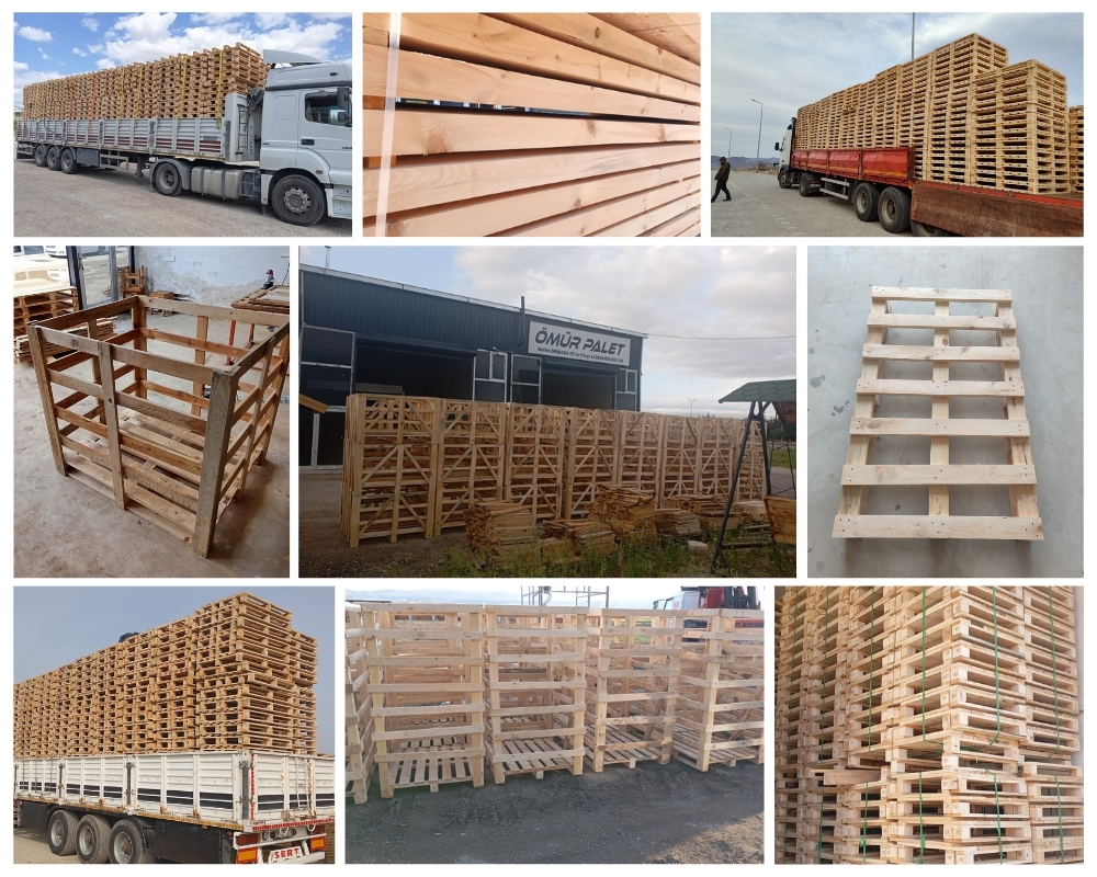Dongen Houten Kisten, Europallets Groothandel Kopen